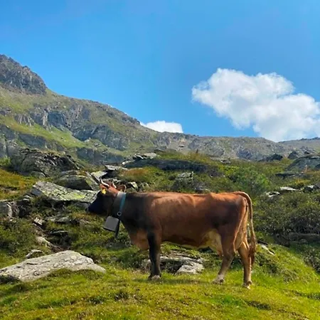 Apartmán Haus Dora 1 Filzenkogel