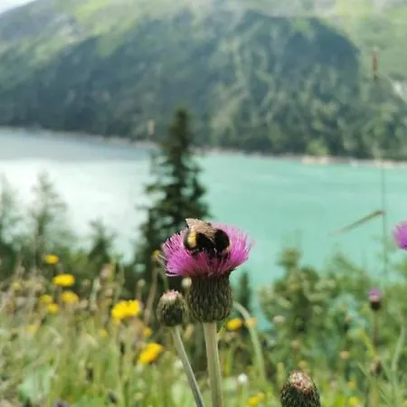 Appartement Haus Dora 1 Filzenkogel