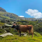 Lägenhet Haus Dora 1 Filzenkogel